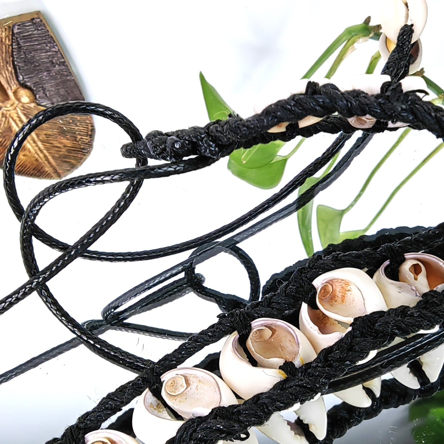 Collier en véritable cauris d'Afrique (double ligne)