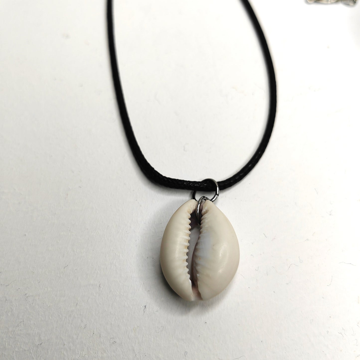 Collier avec 1 cauris d'Afrique