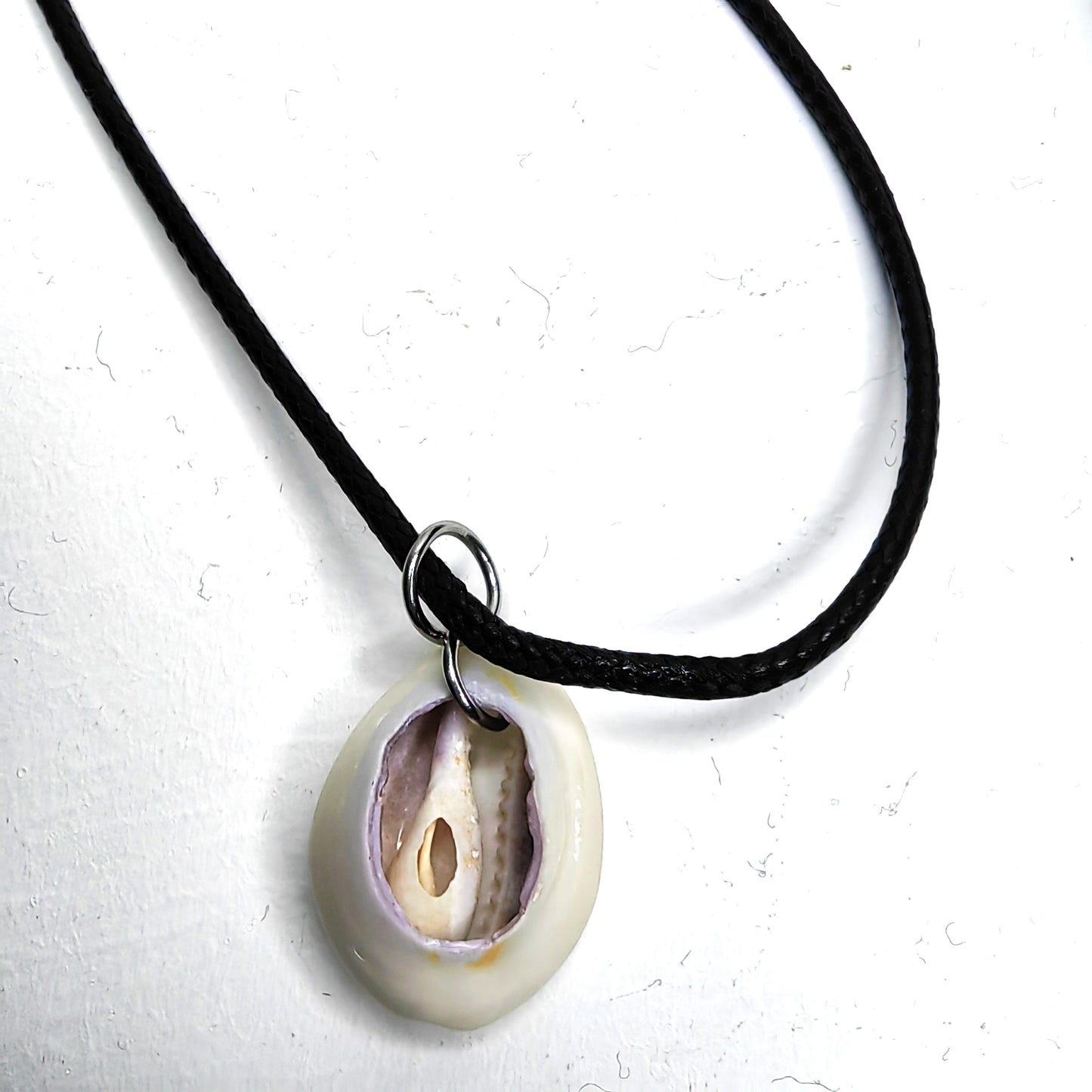 Collier avec 1 cauris d'Afrique